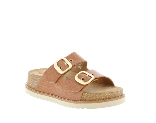 Oca Slide Opak 25