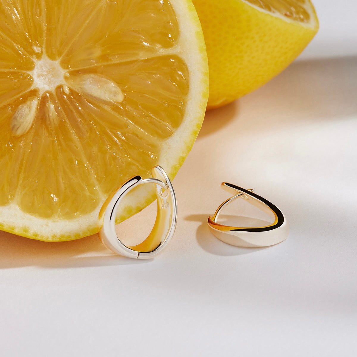 The Plunge Silver Earrings