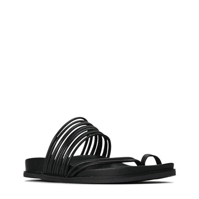 Carmelle Slide