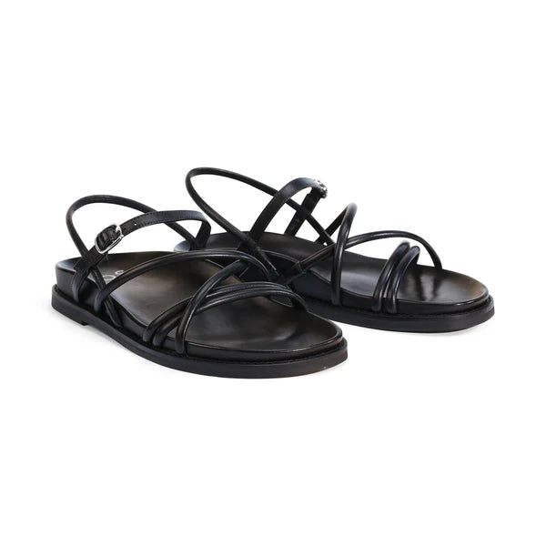 Carmina Sandal