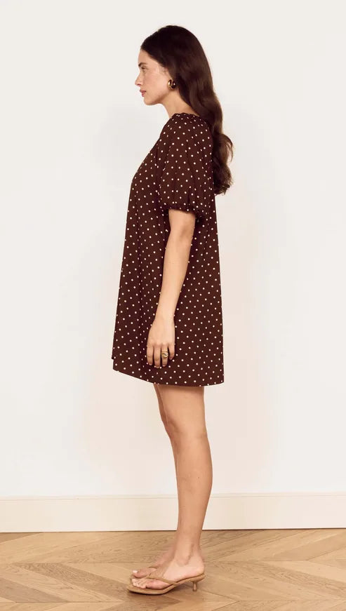 Orion Mini Dress