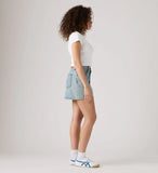 Icon Skirt