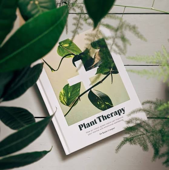Plant Therapy